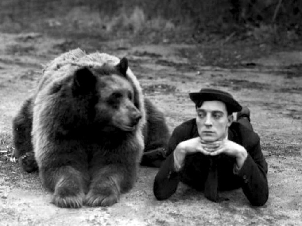 Keaton_Bear