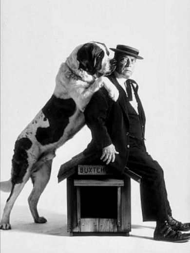Keaton_Dog-3