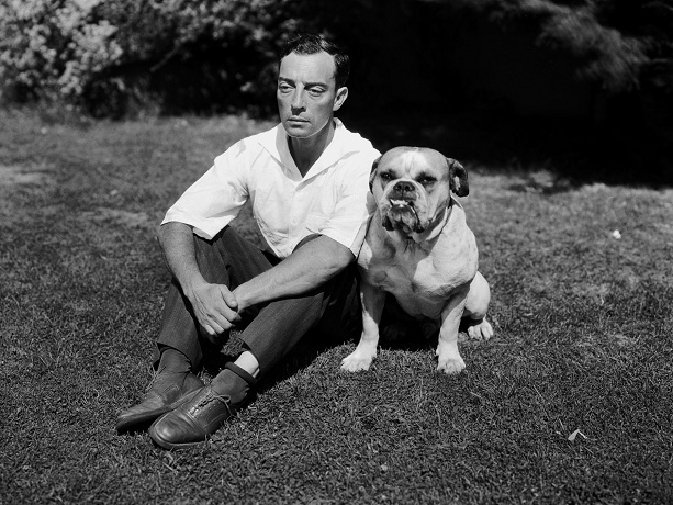 Keaton_Dog-4