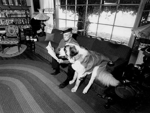 Keaton_Dog-7