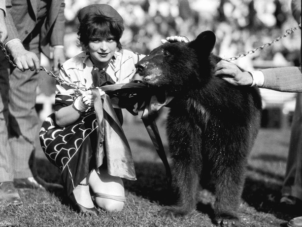 Clara_Bow_Bear