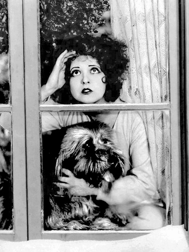 Clara_Bow_Dog