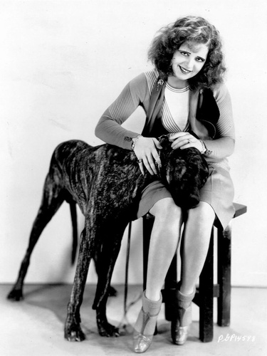 Clara_Bow_Dog