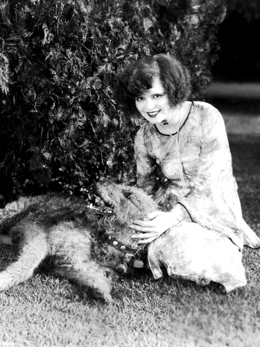 Clara_Bow_Dog