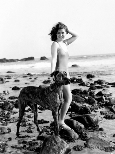 Clara_Bow_Dog