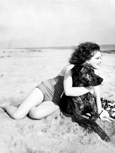 Clara_Bow_Dog