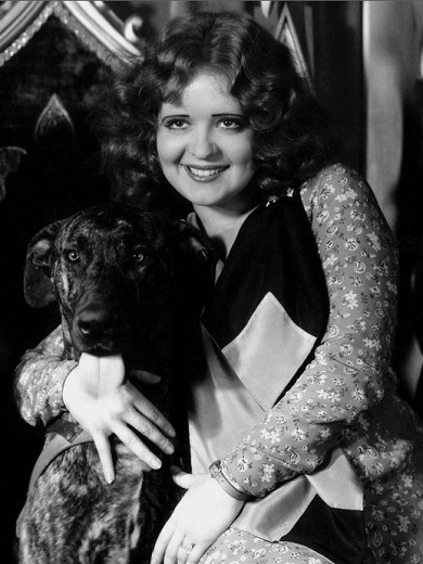 Clara_Bow_Dog-4