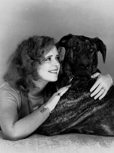 Clara_Bow_Dog-6