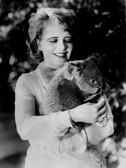 Clara_Bow_Koala