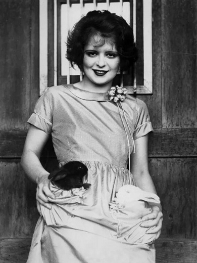 Clara_Bow_Rabbit