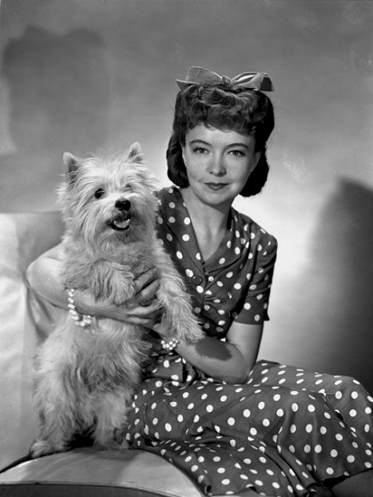 Lillian_Gish_Dog-2