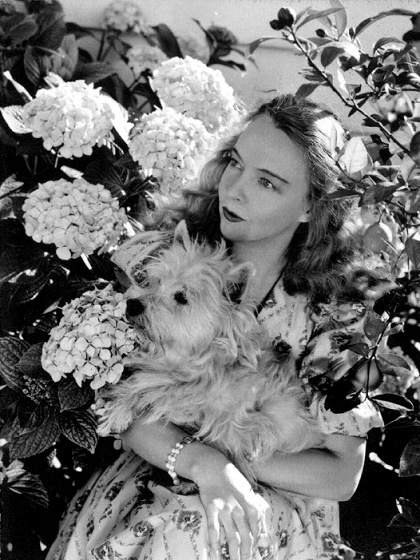 Lillian_Gish_Dog-3