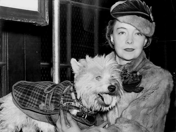 Lillian_Gish_Dog-5