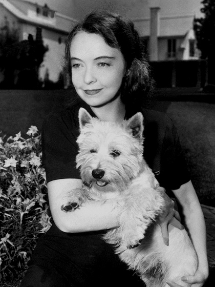 Lillian_Gish_Dog-7
