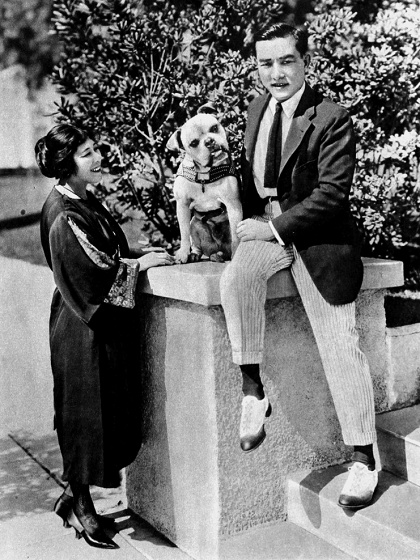 Sessue_Dog