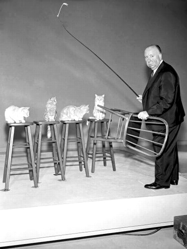 Hitchcock_Cats