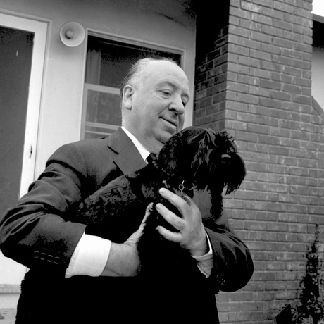Hitchcock_Dog