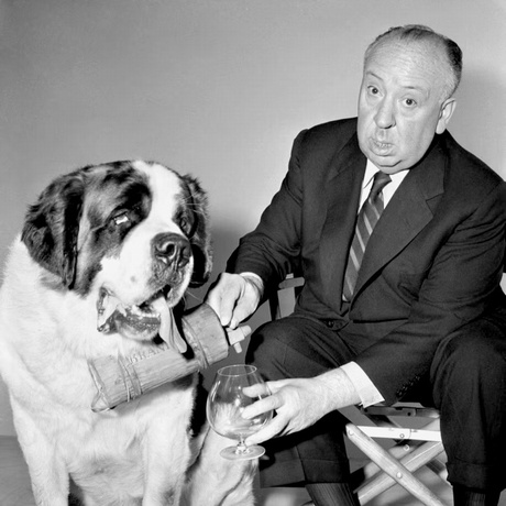 Hitchcock_Dog