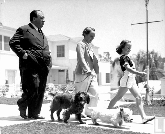 Hitchcock_Dog