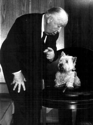 Hitchcock_Dog
