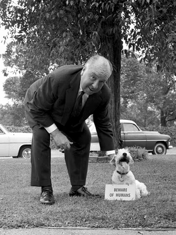 Hitchcock_Dog