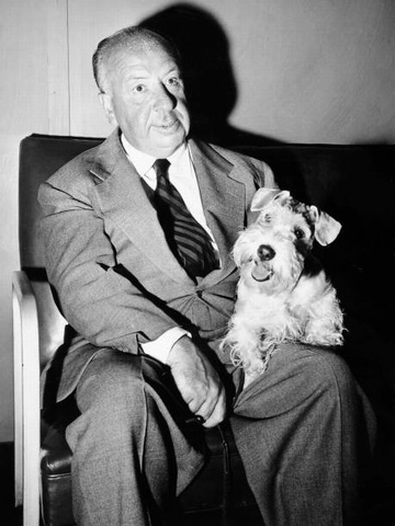 Hitchcock_Dog