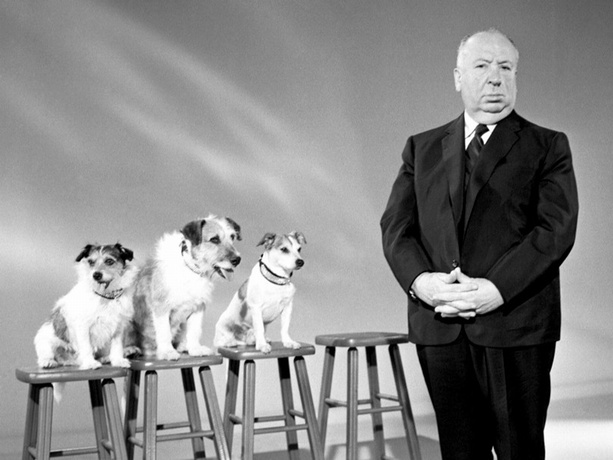 Hitchcock_Dog
