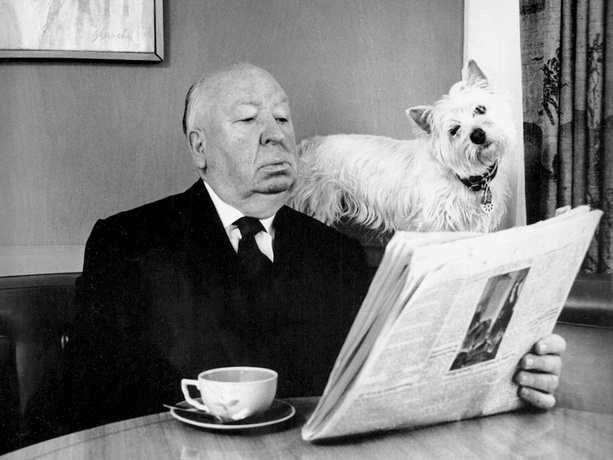 Hitchcock_Dog