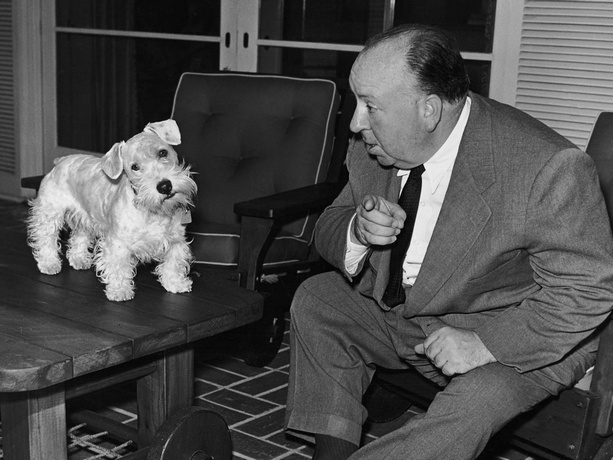 Hitchcock_Dog