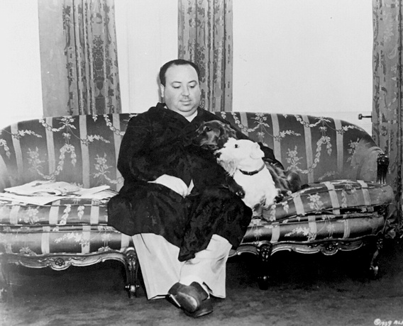 Hitchcock_Dog
