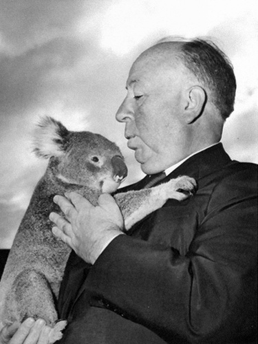 Hitchcock_Koala