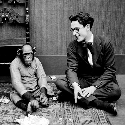 Lloyd_Monkey