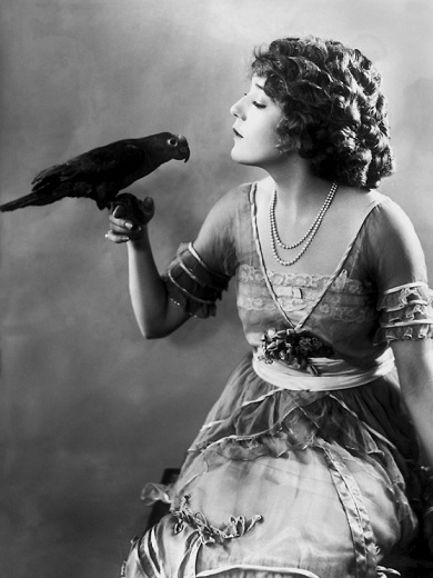Mary_Pickford_Bird-2