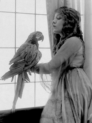 Mary_Pickford_Bird