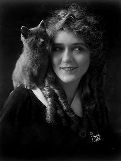 Mary_Pickford_Cat