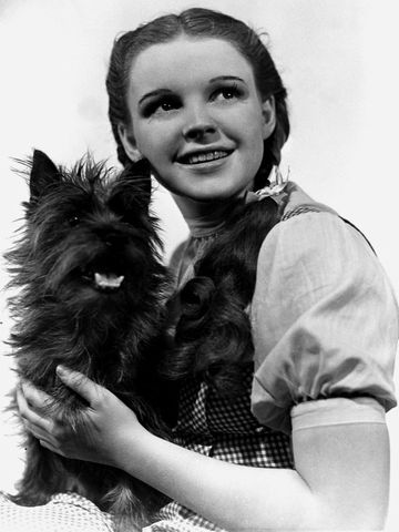 Judy_Garland