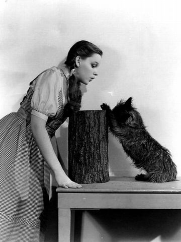 Judy_Garland